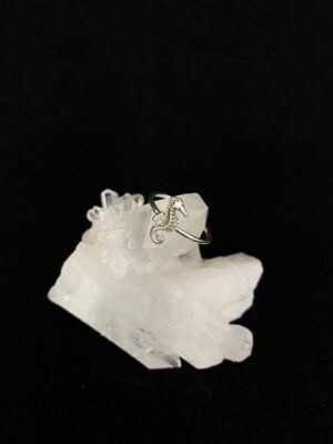 produto_111_1_img_8208-d5e5ca8a07ad388d0d16978274180734-1024-1024-1.jpeg Anel Prata Modelo Lush Cavalo Marinho