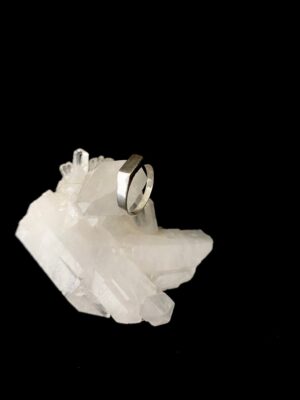 produto_136_1_img_8232-ed0ccfaaaccfbc47f616983561636784-1024-1024-1.jpeg Anel Prata Modelo Lush Plaquinha