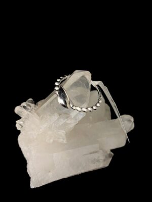 produto_141_1_img_8218-d7a0709646c1e335e017013042561398-1024-1024-1.jpeg Anel Prata Modelo Lush Galho