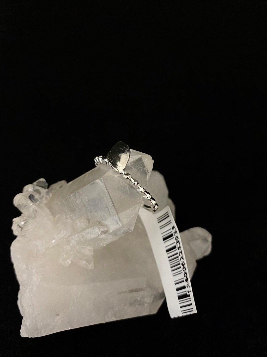 Anel Prata Modelo Lush Galho - Imagem 3