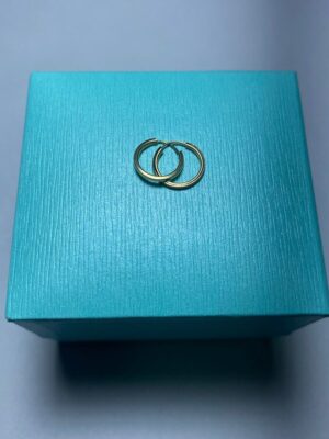 produto_15_1_img_66831-a0a5f585e4a57a9cad16942010378367-1024-1024-1.jpeg Argolinha de Ouro