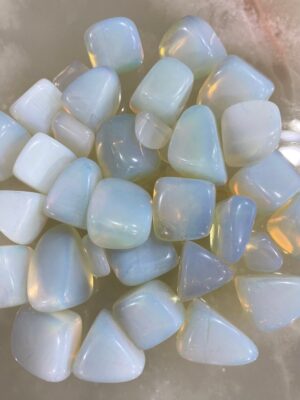 produto_163_1_img_8353-85fd98c00e9beaad0416988915338139-1024-1024-2.jpeg Unidade de Opalina