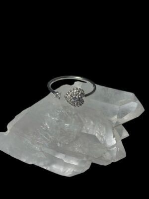 produto_230_1_photoroom_20231204_090727-922ca219b90ef6962417016920609159-1024-1024-1.jpeg Anel Prata Modelo Lush Coração Regulável