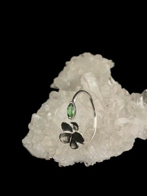 produto_233_1_photoroom_20231204_114156-45a338aee31055d09517017052316722-1024-1024-1.jpeg Anel Prata Modelo Lush Flor e Zircônia Verde