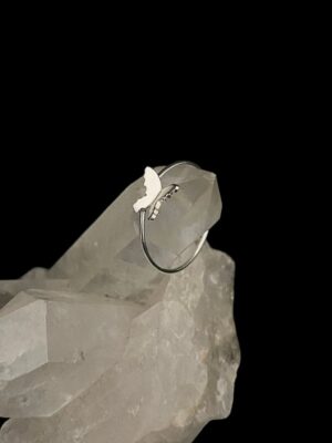 produto_249_1_photoroom_20231208_090404-a9113ed456590216c017020373796629-1024-1024-2.jpeg Anel Prata Modelo Lush Borboleta