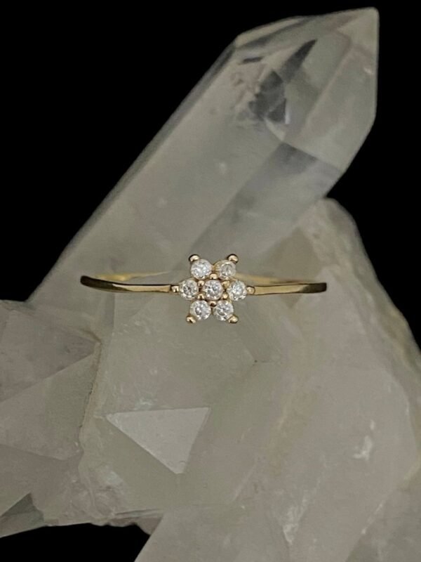 Anel Ouro Modelo Flor de Diamantes