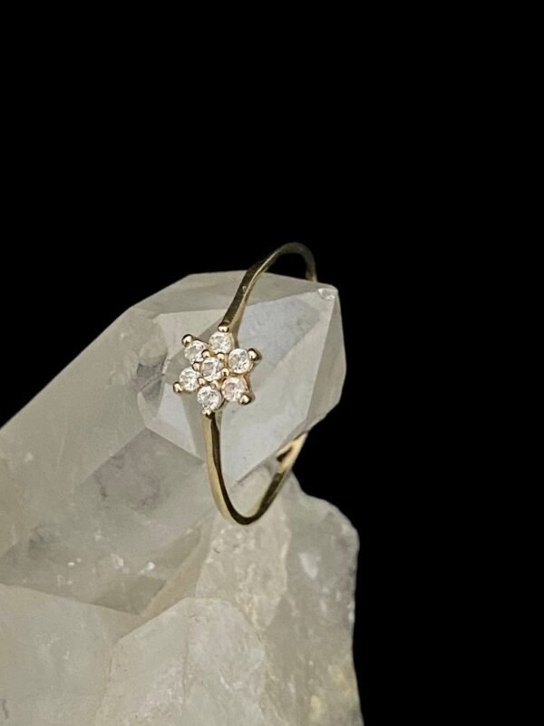 Anel Ouro Modelo Flor de Diamantes - Imagem 3