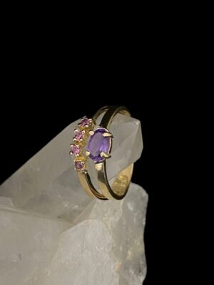 produto_299_1_photoroom_20240212_092937-b9c255b2f1c4863a6317077415092604-1024-1024-1.jpeg Anel Ouro, Ametista Modelo Vinha de Turmalinas