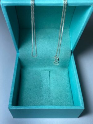 produto_29_1_img_74641-9907113647a4051a8016956736389973-1024-1024-1.jpeg Corrente Veneziana de Prata