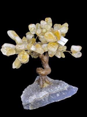 produto_382_1_photoroom_20250314_113326-a6a50ae11ebe75fb1317422120699667-1024-1024-2.jpeg Árvore de Citrino