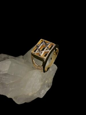 produto_74_1_photoroom_20231218_104609-06c735b3831561b1b917029072144124-1024-1024-1.jpeg Anel Ouro e Ouro Branco Estrela de Davi