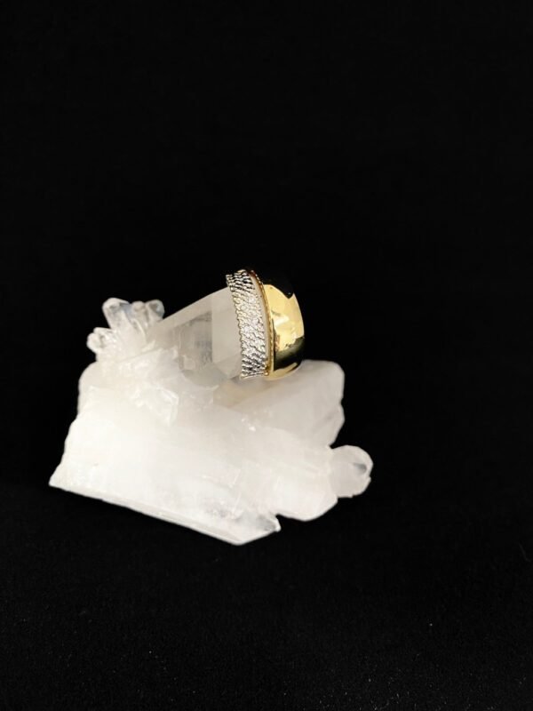 Anel Ouro e Faixa de Diamantes - Imagem 3